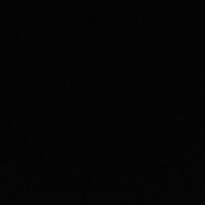 Meet your Posher, Reagan